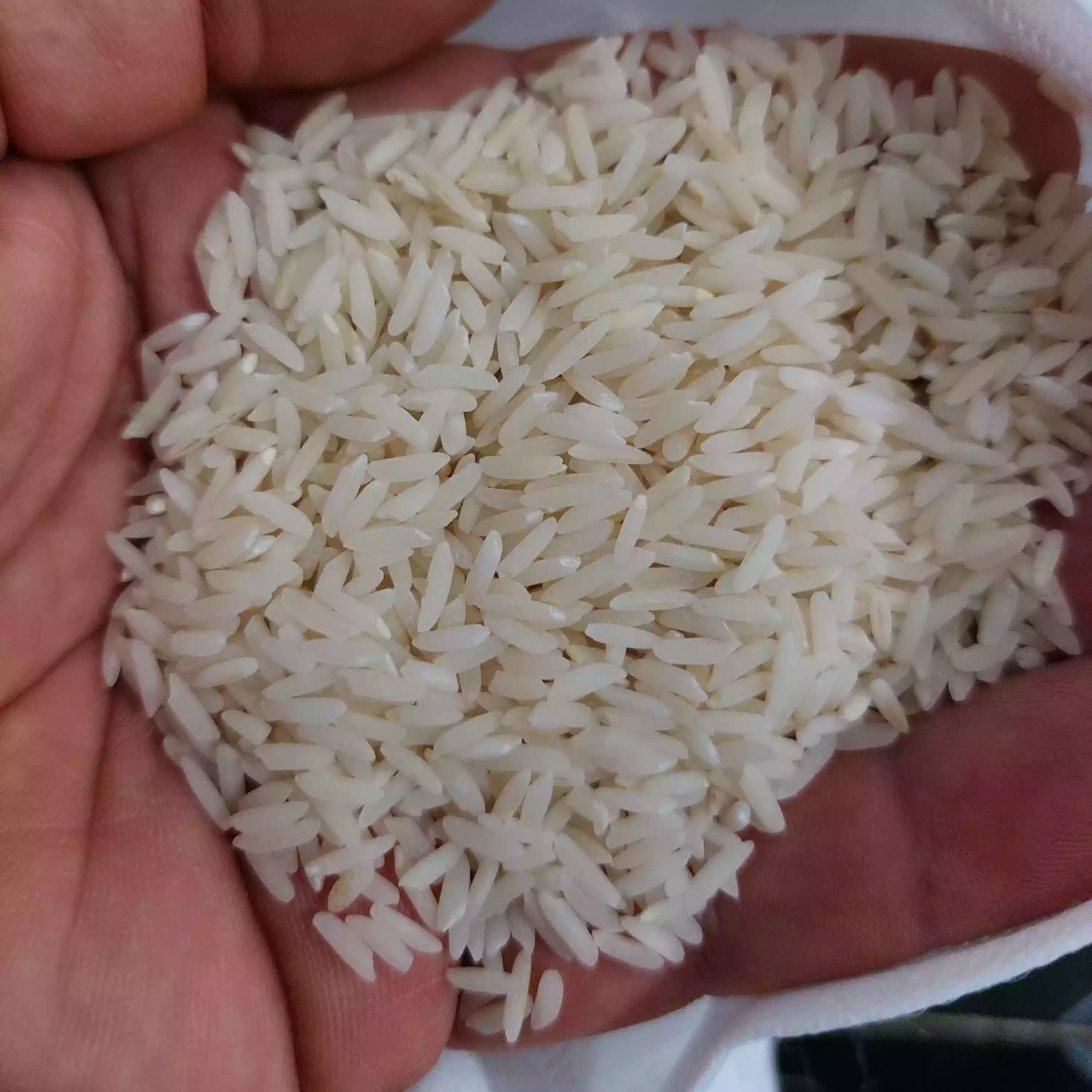 برنج طارم شمال قلم بلند رقم ندا 5 کیدو گرمی برند پای فشرده